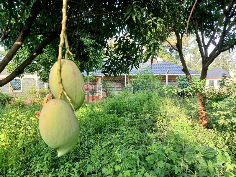 Commercial Land For Sale 𝐌𝐀𝐑𝐀𝐆𝐔𝐀 𝐑𝐈𝐃𝐆𝐄. Makuyu Muranga - 1