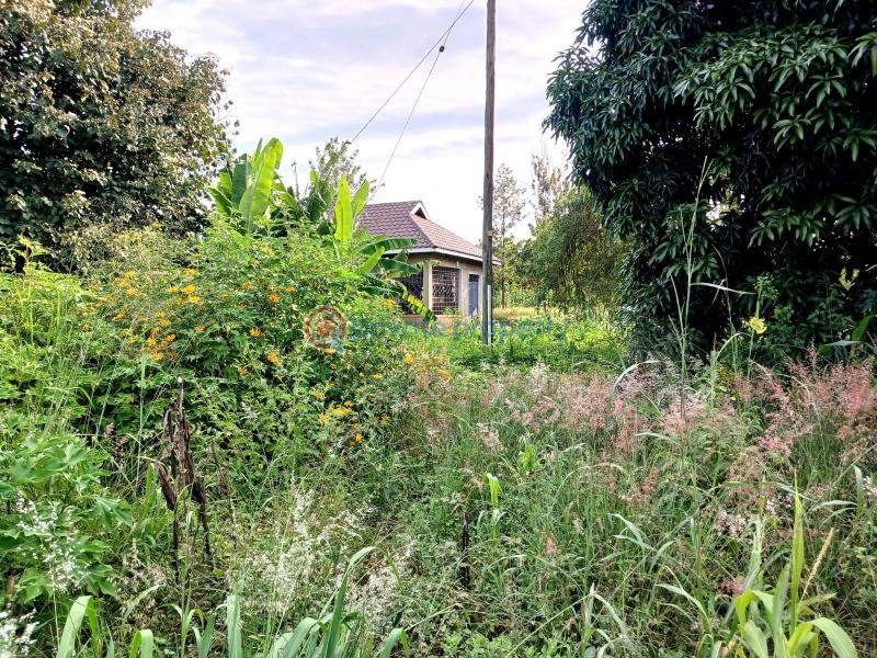 Commercial Land For Sale Gatanga Muranga - 1