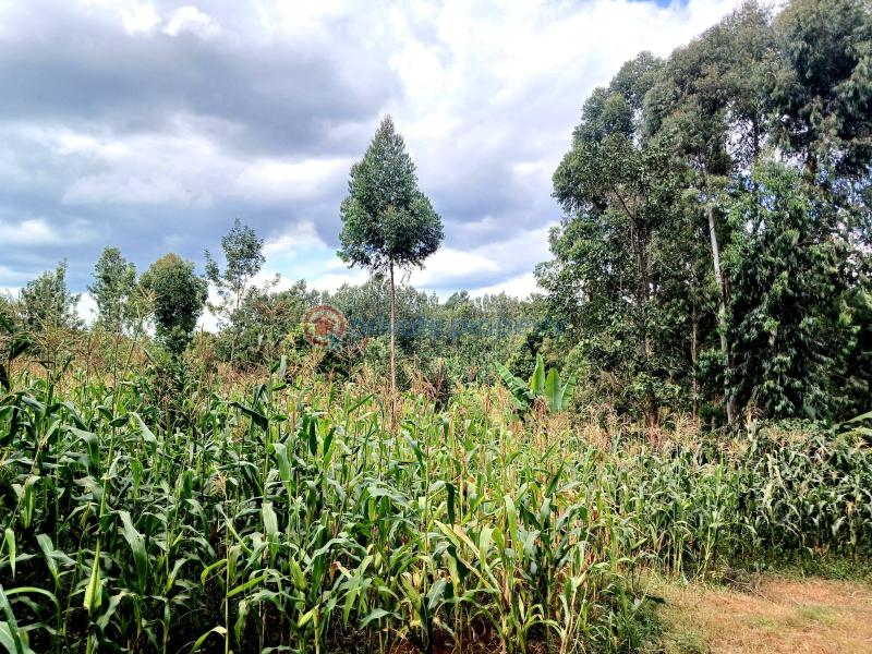 Commercial Land For Sale Makuyu Muranga - 2