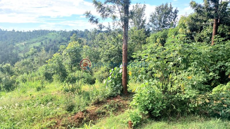 Commercial Property For Sale Makuyu Muranga - 7