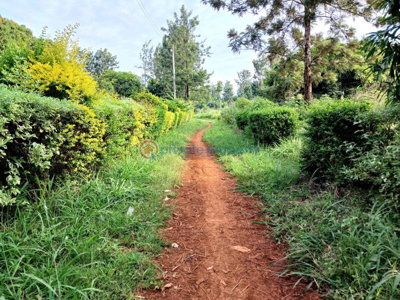 Commercial Land For Sale Gatanga Muranga - 0
