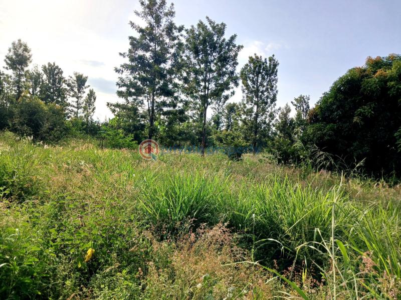 Commercial Land For Sale Gatanga Muranga - 4