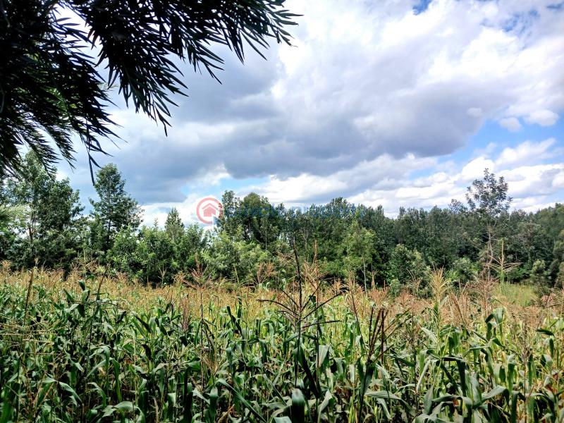 Commercial Land For Sale Makuyu Muranga - 7