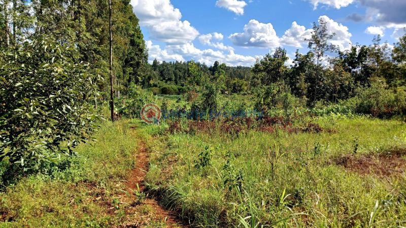 Commercial Property For Sale Makuyu Muranga - 6