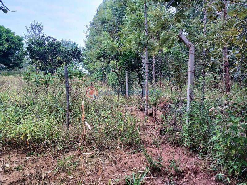 Commercial Land For Sale Makuyu Muranga - 9