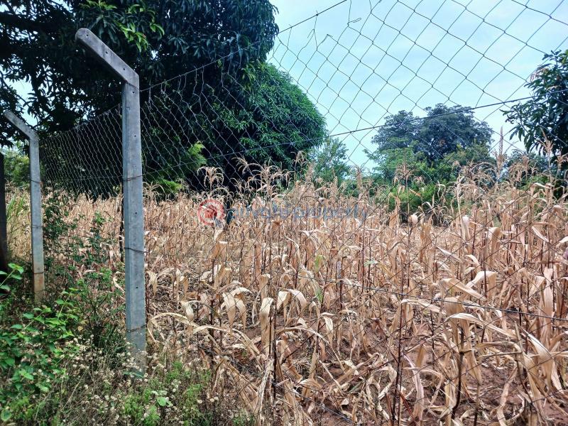 Commercial Land For Sale Makuyu Muranga - 2