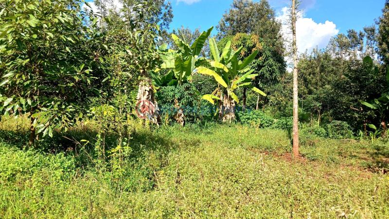 Commercial Property For Sale Makuyu Muranga - 7