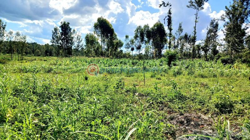 Commercial Property For Sale Makuyu Muranga - 4