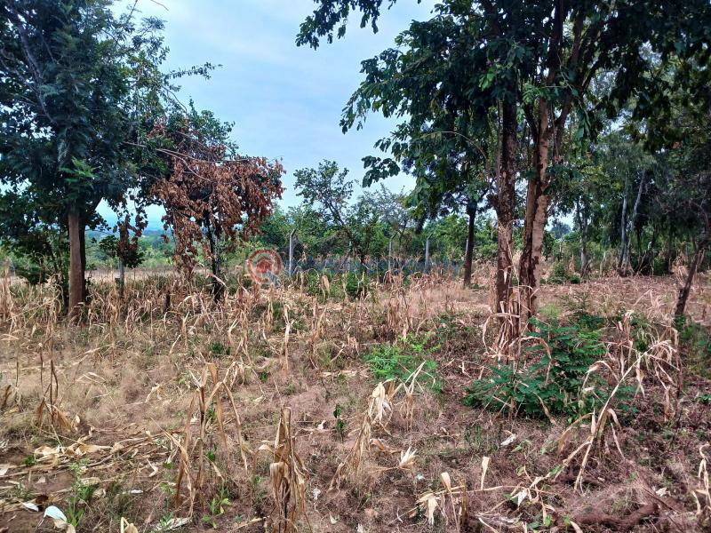 Commercial Land For Sale Makuyu Muranga - 10