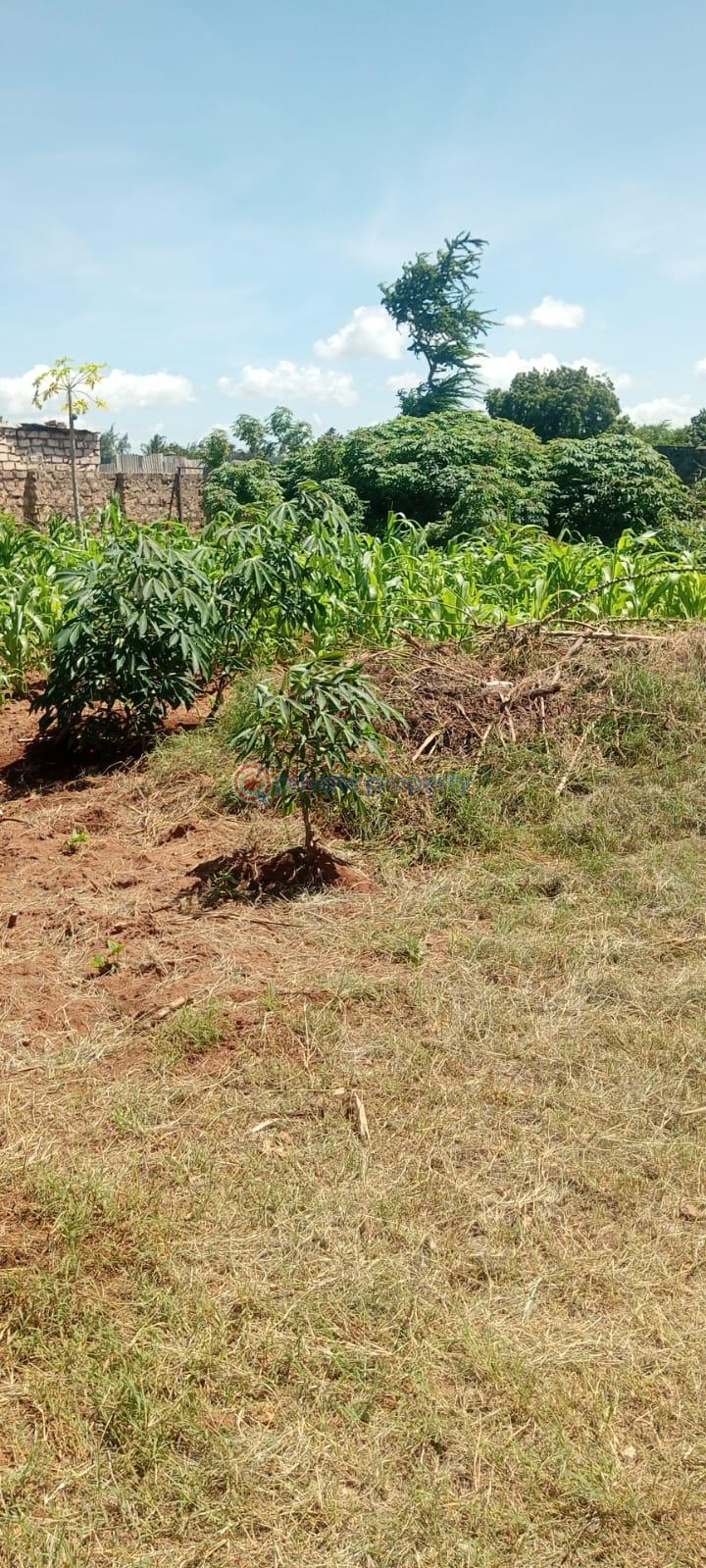 Land For Sale Mtwapa||primary School Mtwapa Kilifi - 5