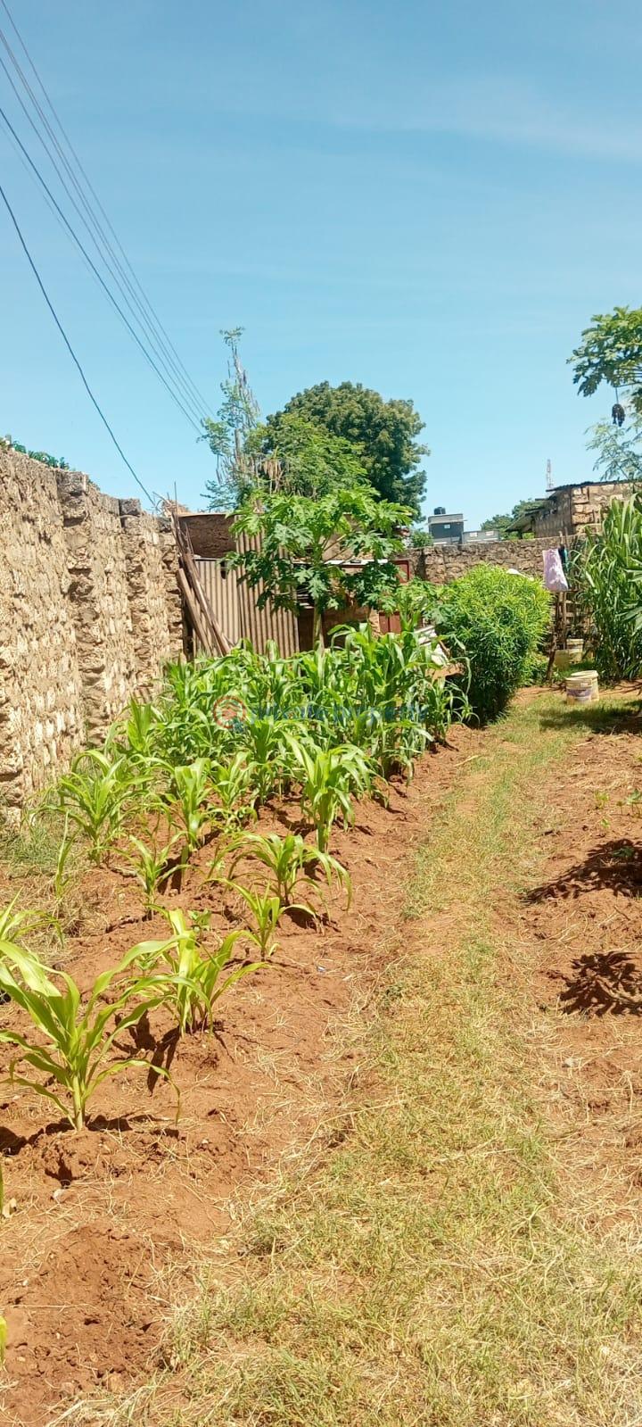 Land For Sale Mtwapa||primary School Mtwapa Kilifi - 2