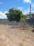 Land For Sale Mombasa, Nyali Nyali Mombasa  - 6
