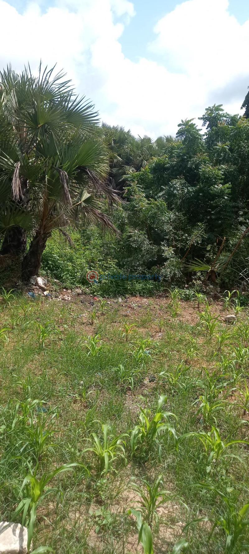 Land For Sale Mtwapa Kilifi - 5