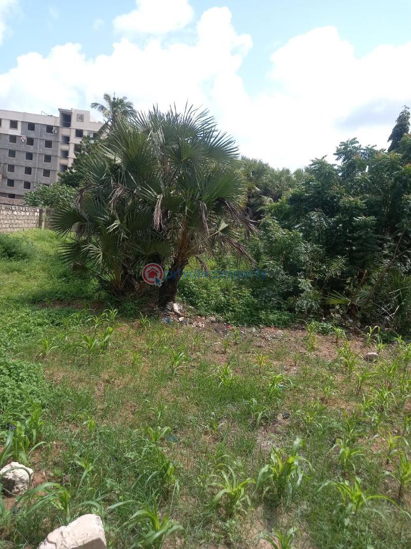 Land For Sale Mtwapa Kilifi - 2