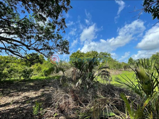 Land For Sale Vipingo, Kuruwitu Vipingo Beach. Mtwapa Kilifi - 9