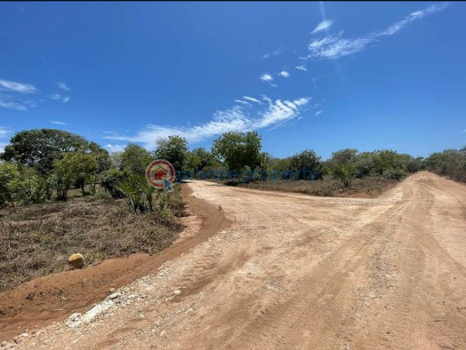 Land For Sale Vipingo, Kuruwitu Vipingo Beach. Mtwapa Kilifi - 7