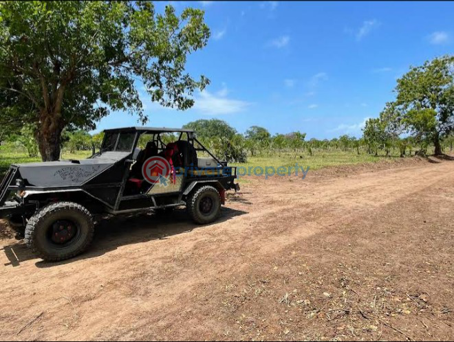 Land For Sale Vipingo, Kuruwitu Vipingo Beach. Mtwapa Kilifi - 19
