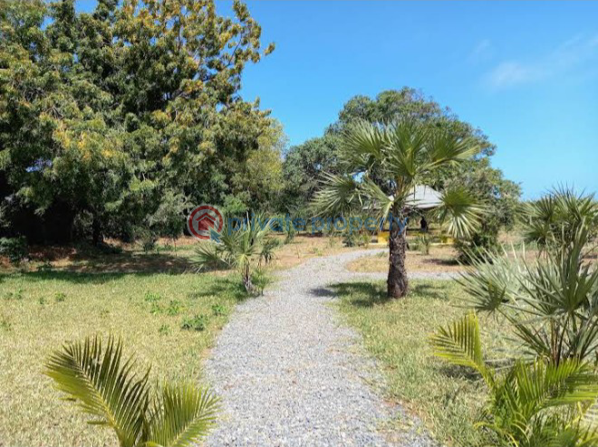 Land For Sale Vipingo, Kuruwitu Vipingo Beach. Mtwapa Kilifi - 13
