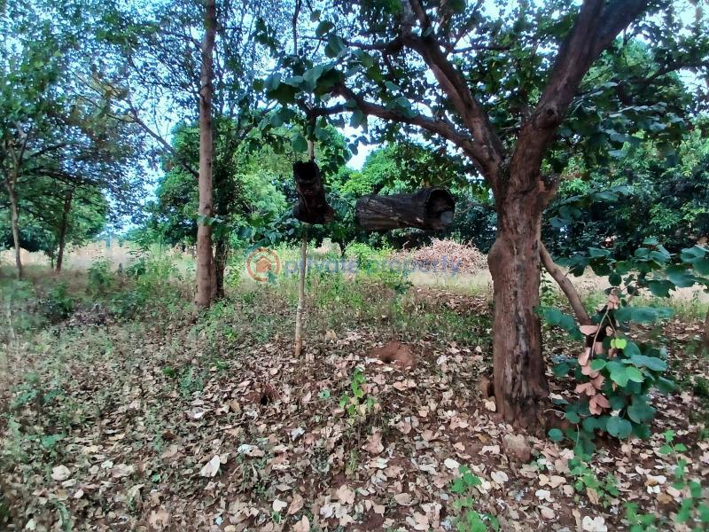 Commercial Land For Sale Makuyu Muranga - 4