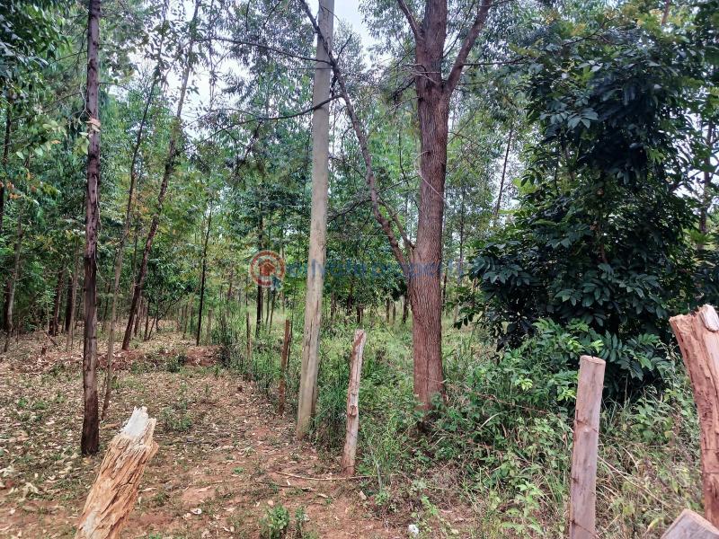 Commercial Land For Sale Makuyu Muranga - 3