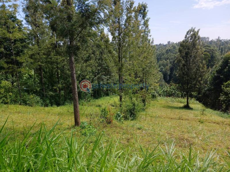 Land For Sale Kahuro, Kiharu – Murang’a murang'a County. Makuyu Muranga - 0