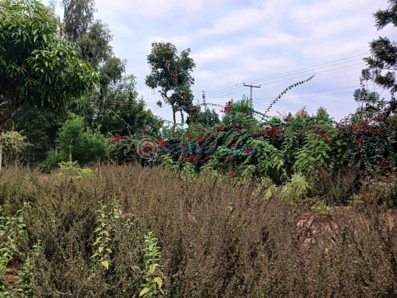 Commercial Land For Sale Makuyu Muranga - 7