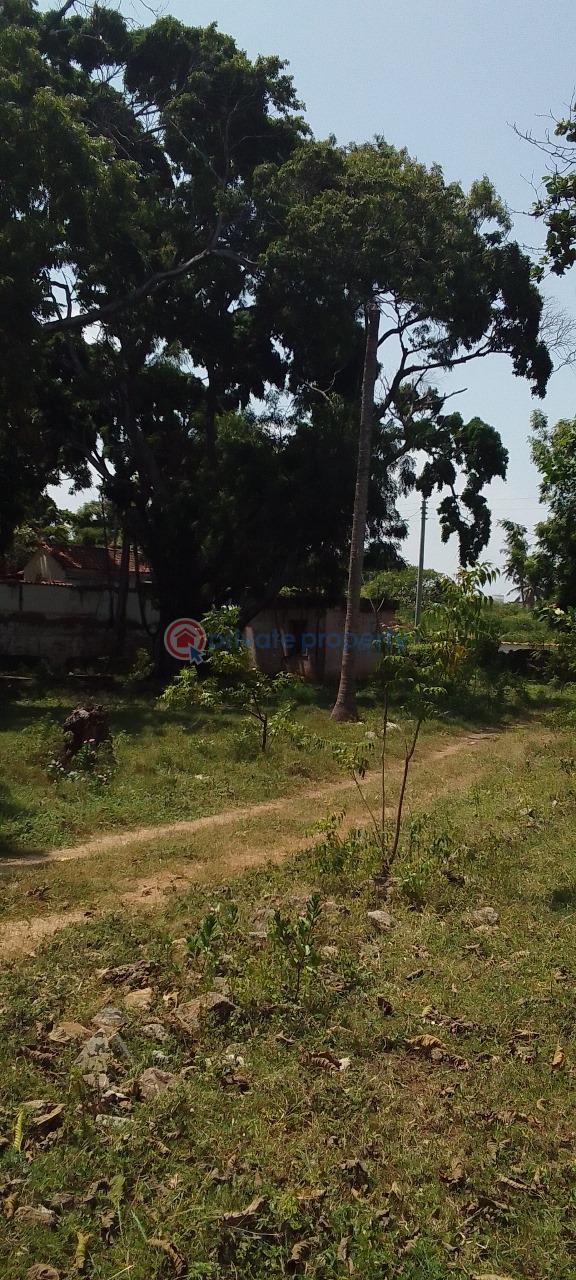 Land For Sale Nyali Mombasa  - 5