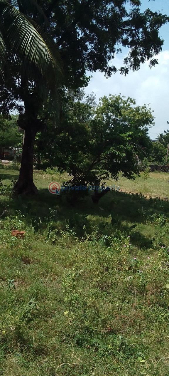 Land For Sale Nyali Mombasa  - 2