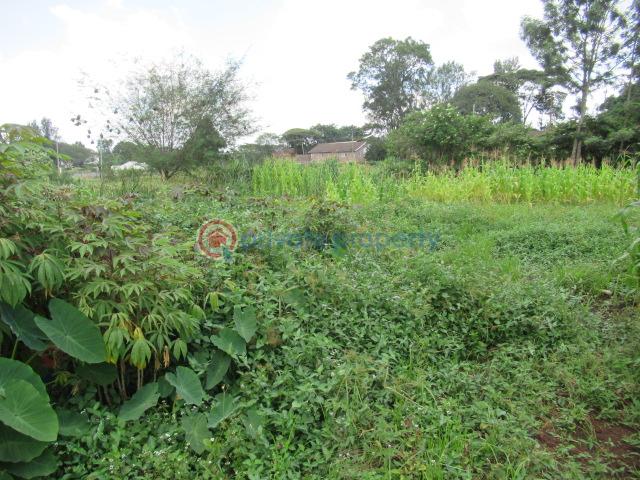Land For Sale Mushroom Gardens Thindigua Nairobi - 4