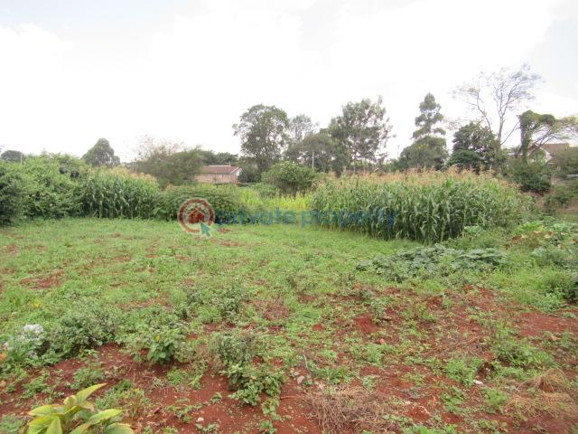 Land For Sale Mushroom Gardens Thindigua Nairobi - 1