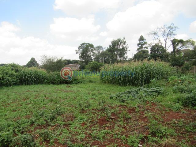 Land For Sale Mushroom Gardens Thindigua Nairobi - 6