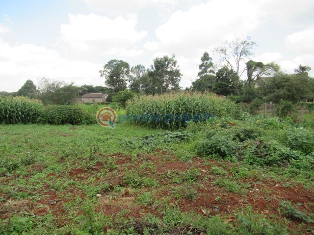 Land For Sale Mushroom Gardens Thindigua Nairobi - 3