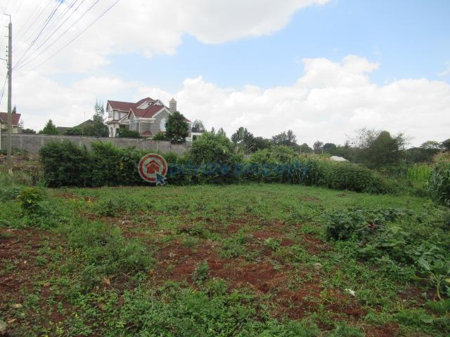 Land For Sale Mushroom Gardens Thindigua Nairobi - 2