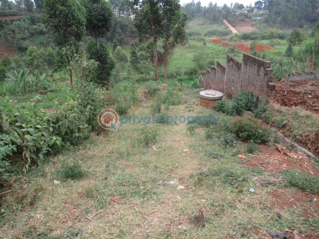 Land For Sale Off Limuru Rd ruaka Kiambu - 6