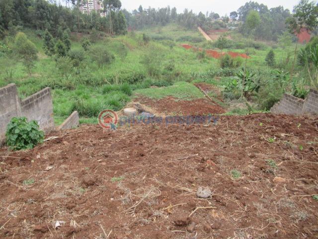 Land For Sale Off Limuru Rd ruaka Kiambu - 3