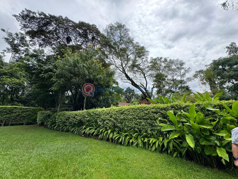 Land For Sale Ridg Ruaka Kiambu - 7