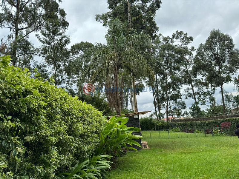 Land For Sale Ridg Ruaka Kiambu - 9