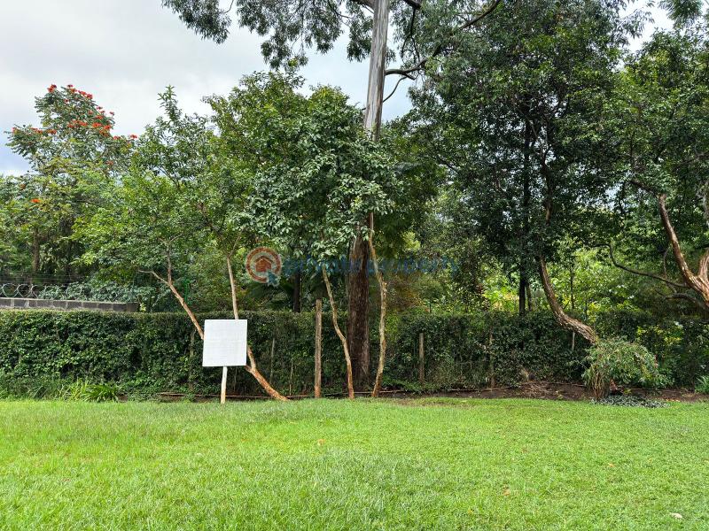 Land For Sale Ridg Ruaka Kiambu - 5