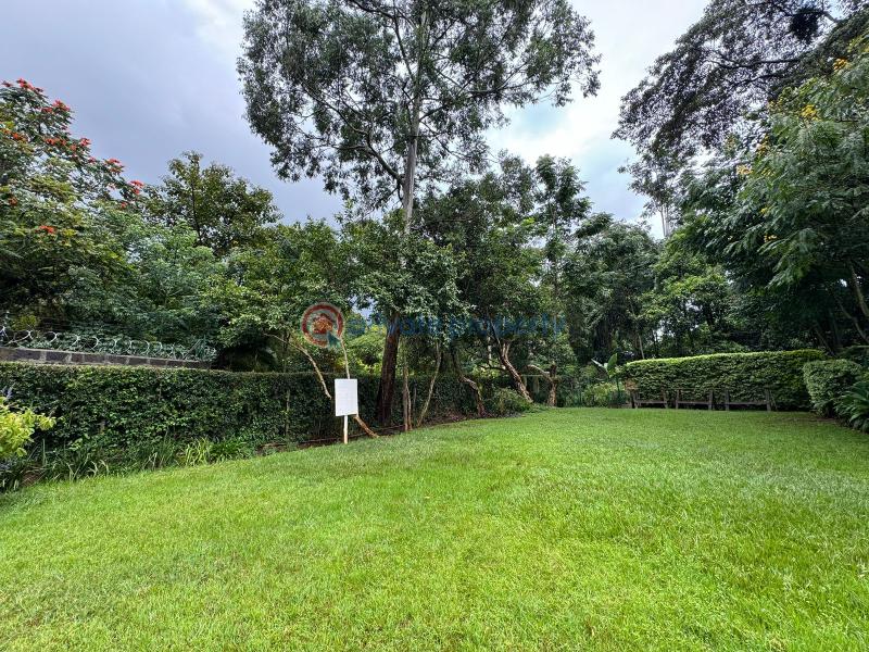 Land For Sale Ridg Ruaka Kiambu - 4
