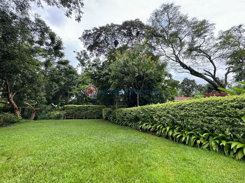 Land For Sale Ridg Ruaka Kiambu - 6
