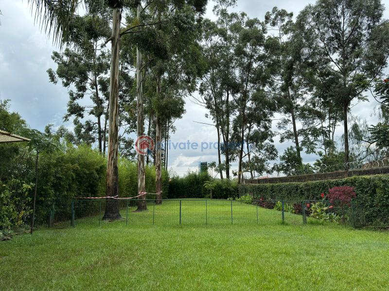 Land For Sale Ridg Ruaka Kiambu - 8