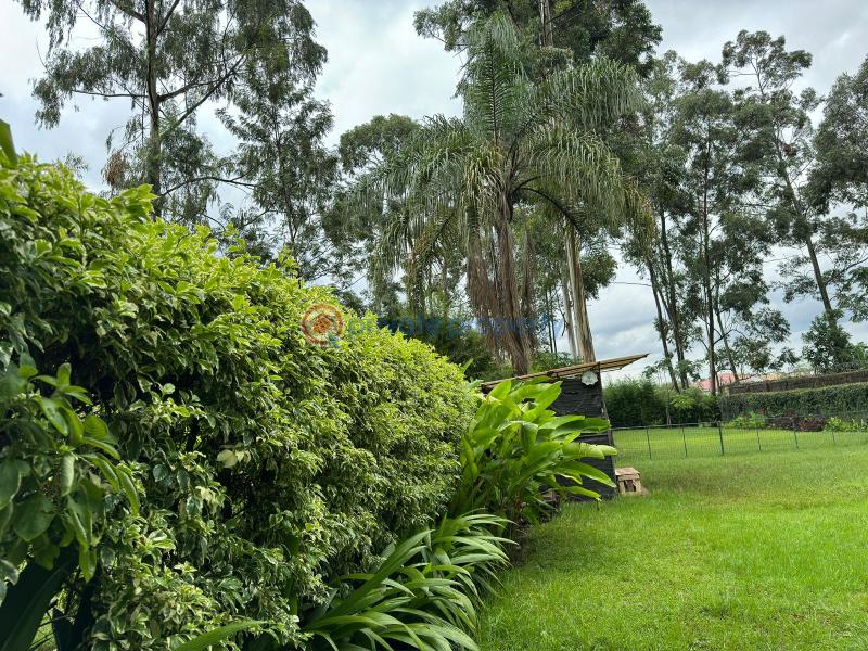 Land For Sale Ridg Ruaka Kiambu - 3