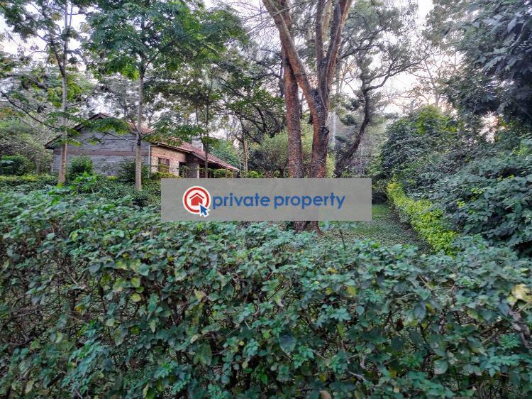 Mixed use Land For Sale &nbsp;behind Safari Park Hotel Roysambu Nairobi - 5