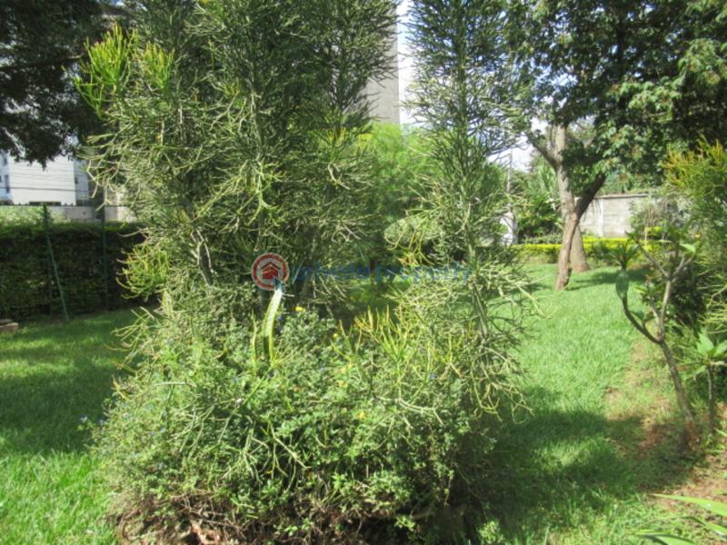 Land For Sale Off Fifth Parklands Avenue Parklands Nairobi - 1