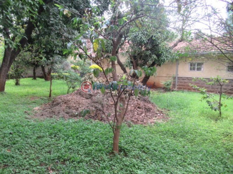 Land For Sale Off Fifth Parklands Avenue Parklands Nairobi - 5