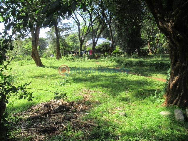 Land For Sale Ololua Ridge Ololua Karen Nairobi - 10