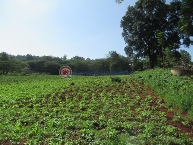 Land For Sale Ololua Ridge Ololua Karen Nairobi - 4