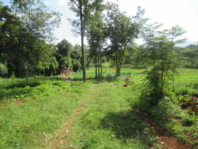 Land For Sale Ololua Ridge Ololua Karen Nairobi - 2