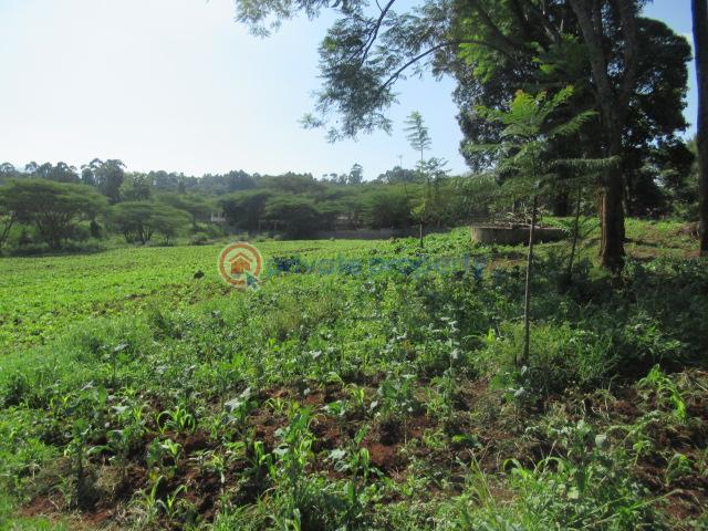 Land For Sale Ololua Ridge Ololua Karen Nairobi - 3