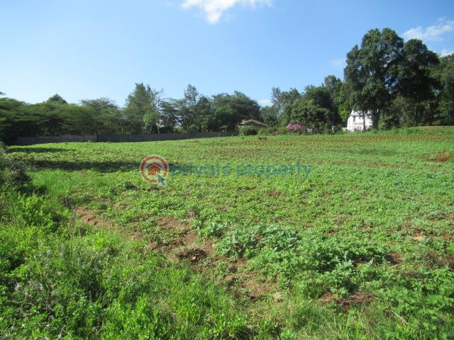 Land For Sale Ololua Ridge Ololua Karen Nairobi - 7